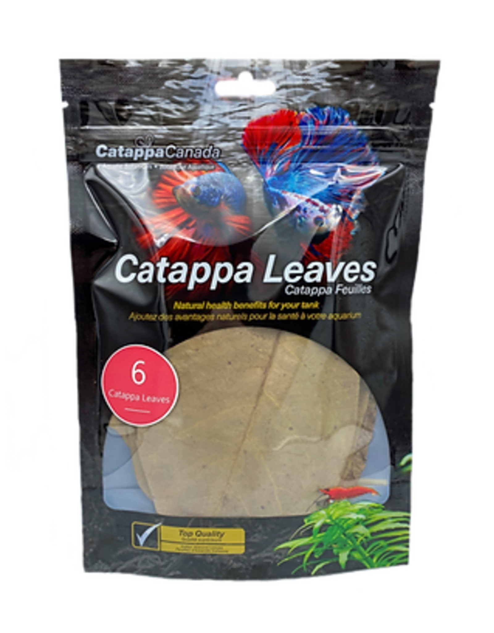 Catappa Canada CATAPPA CANADA Almond Leaves Medium