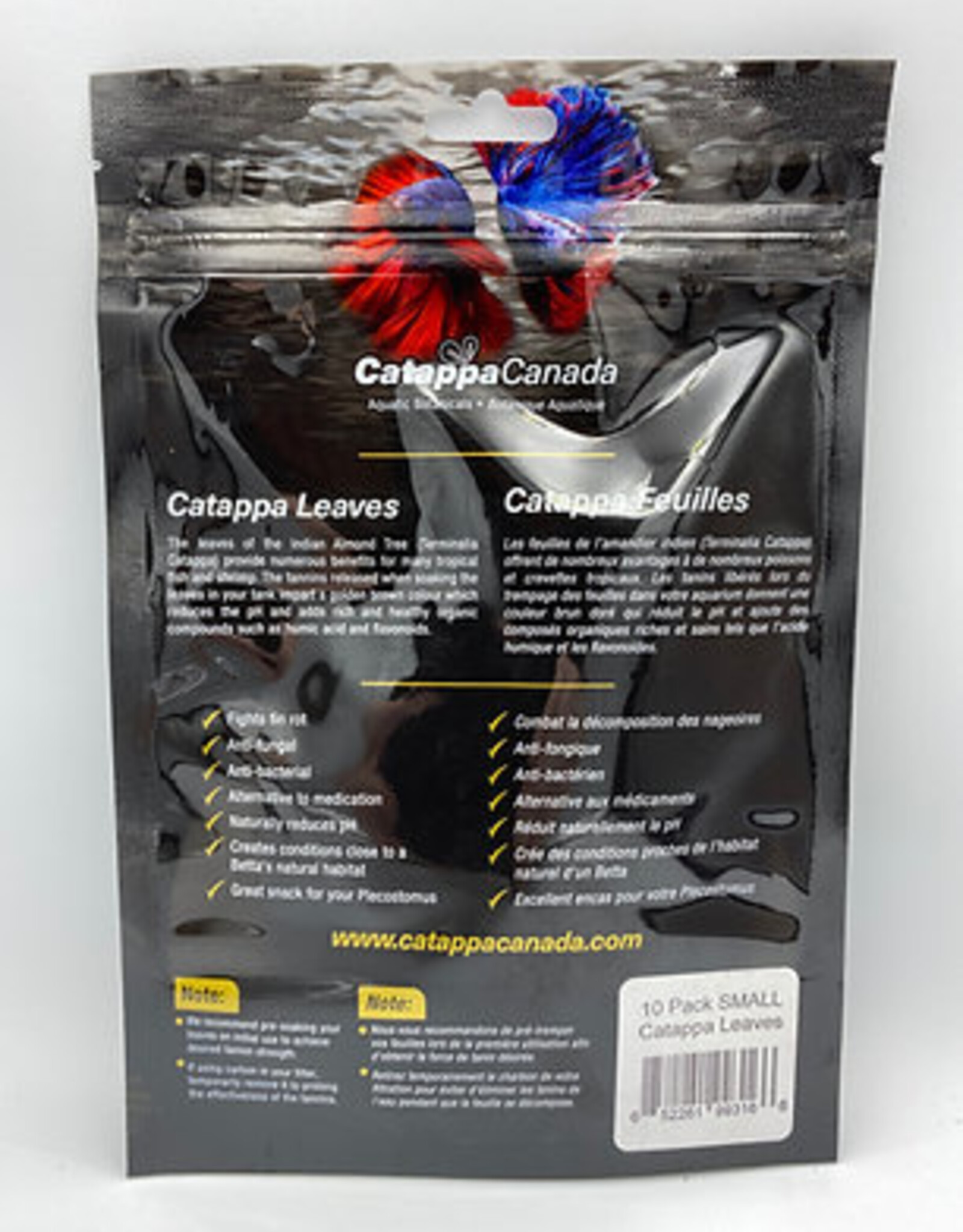 Catappa Canada CATAPPA CANADA Almond Leaves Medium