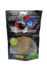 Catappa Canada CATAPPA CANADA Almond Leaves Small