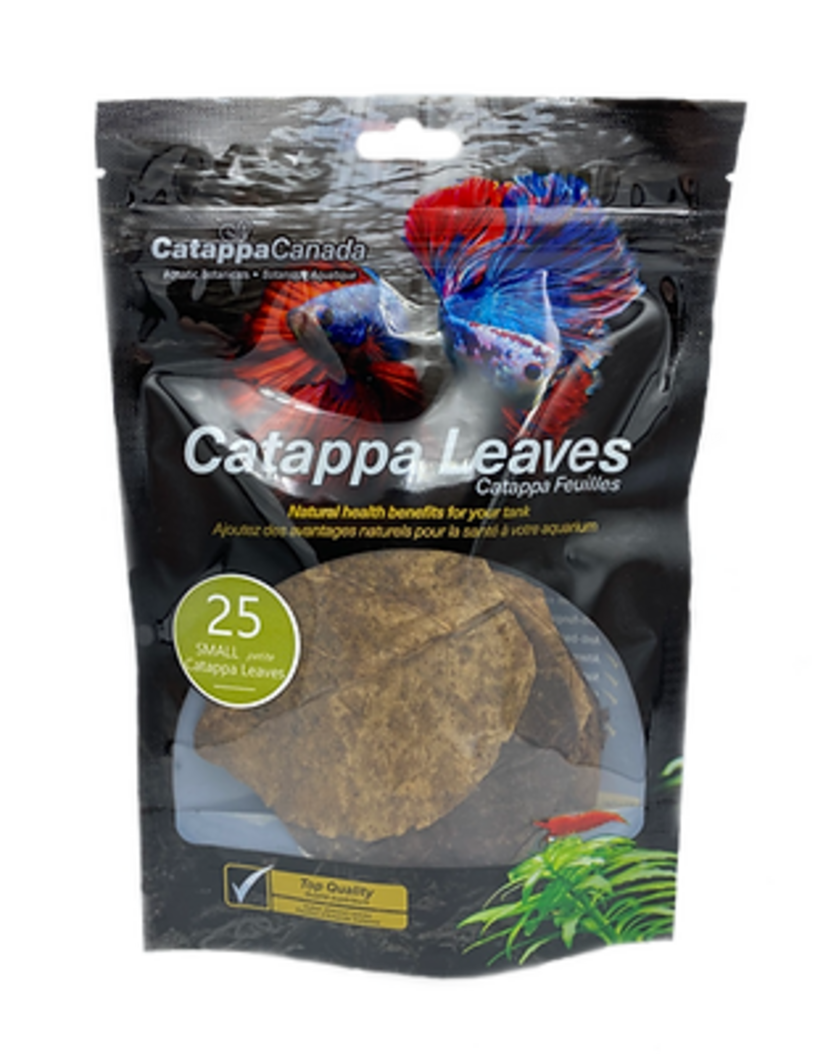 Catappa Canada CATAPPA CANADA Almond Leaves Small
