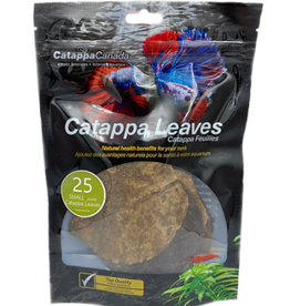 Catappa Canada CATAPPA CANADA Almond Leaves Small