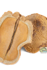 New Cal Pet NEWCAL Frog's Mouth 3pc