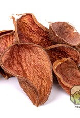 New Cal Pet NEWCAL Lotus Flower Petals 1oz.