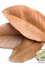 New Cal Pet NEWCAL Magnolia Leaves Large (aprox 10)