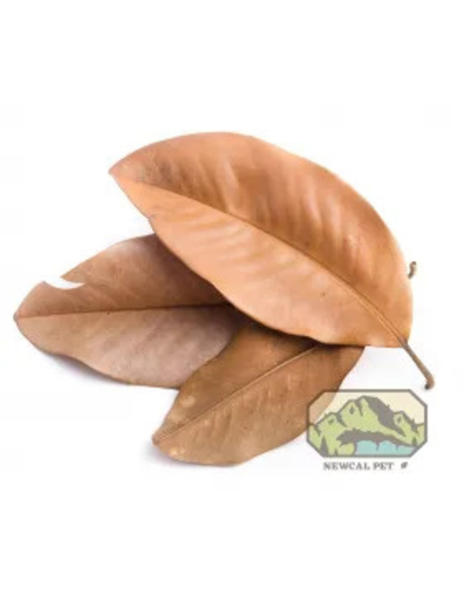New Cal Pet NEWCAL Magnolia Leaves Large (aprox 10)