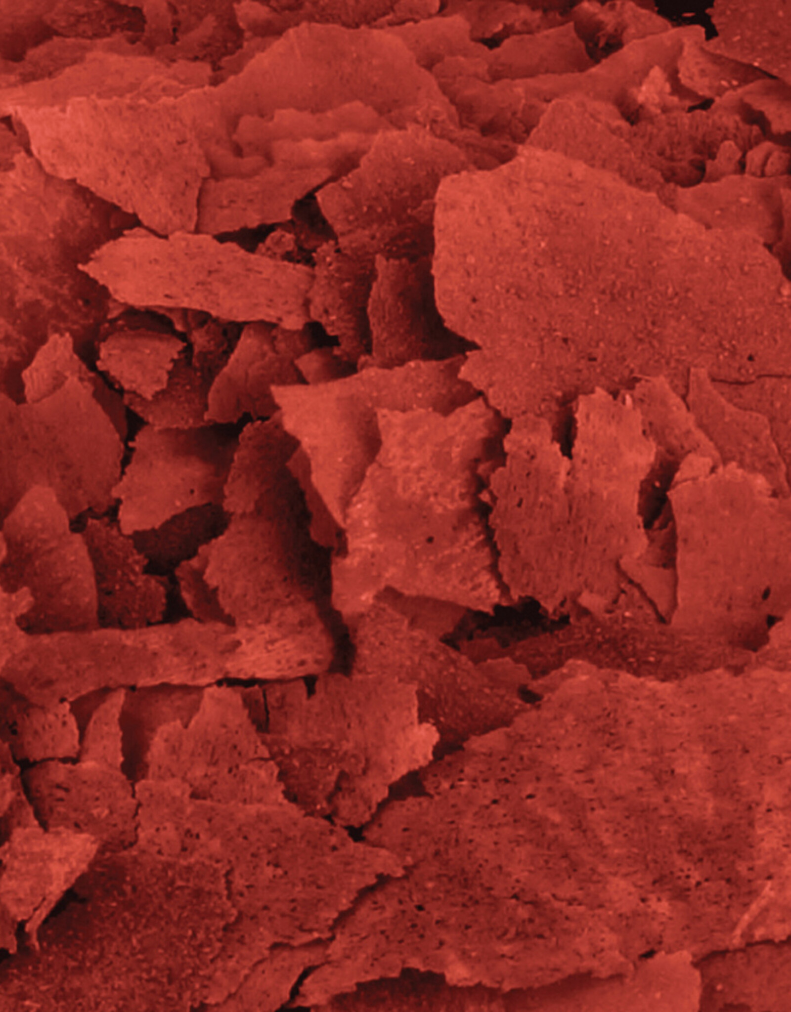 Fluval FLUVAL Bug Bites Flakes Color Enhancing 1kg