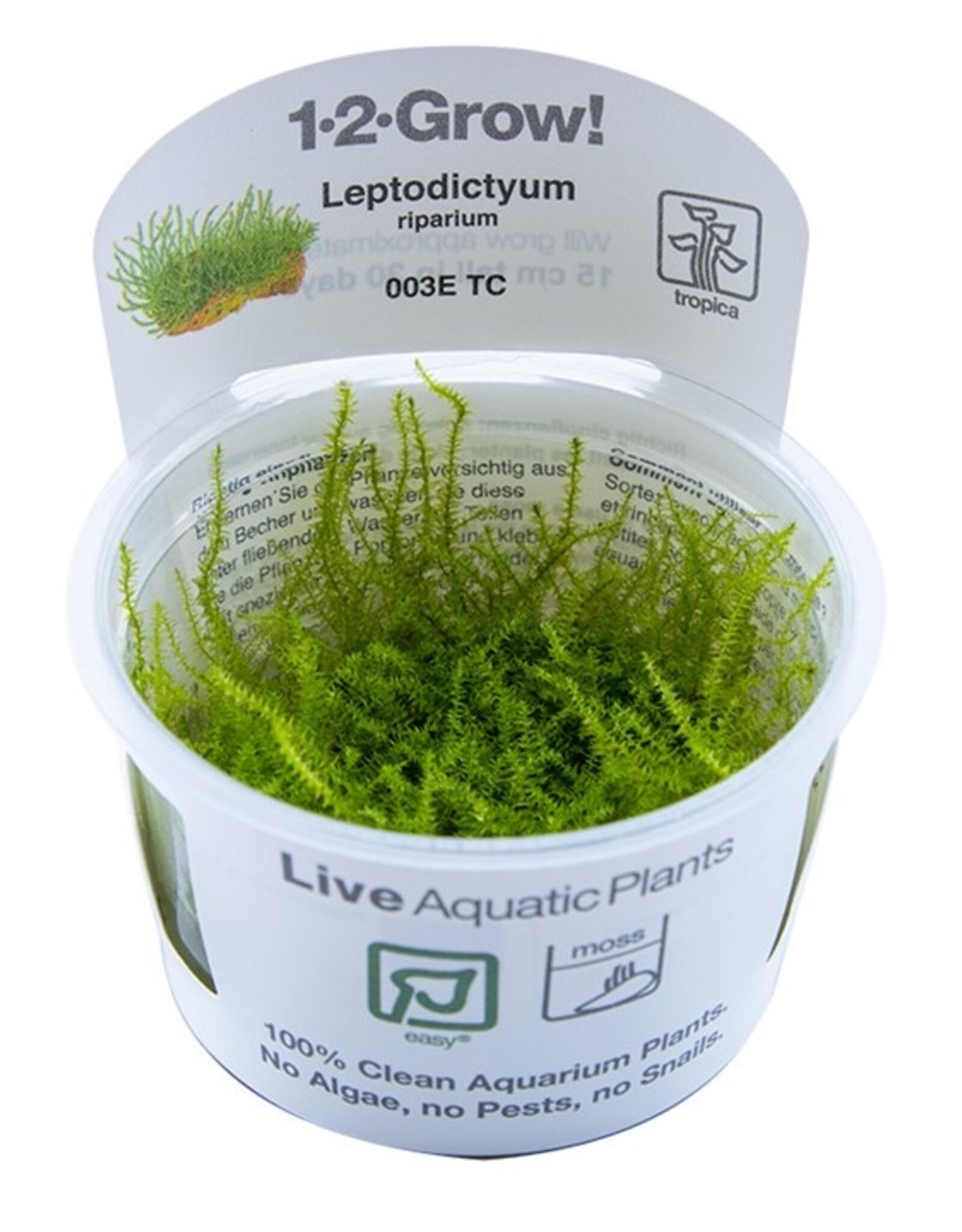 Tropica 1-2-GROW! Leptodictyum riparium