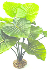 Tetra TETRA GloFish Plant Java Moss Medium