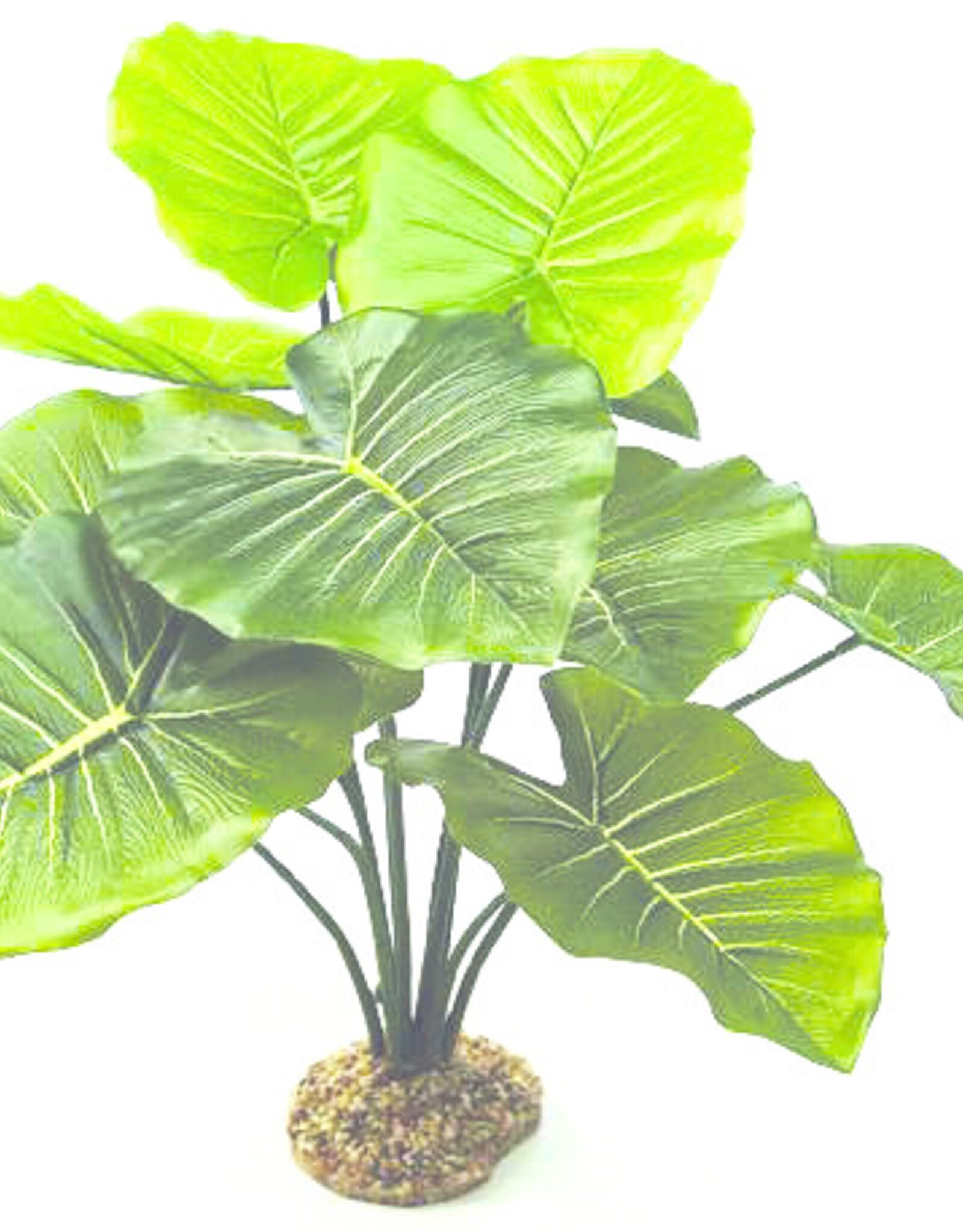 Tetra TETRA GloFish Plant Java Moss Medium