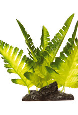 Tetra TETRA GloFish Plant Yellow Fern Medium