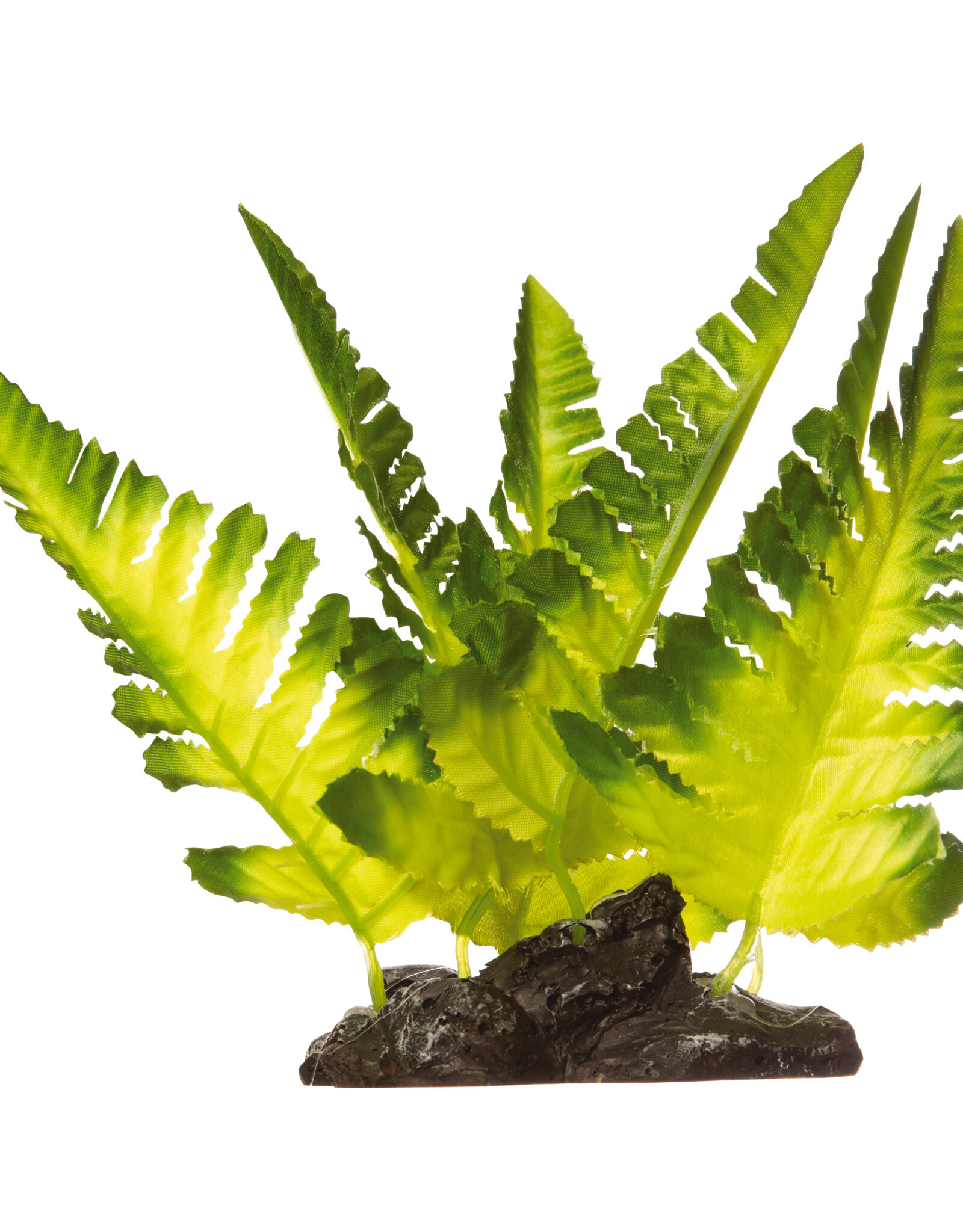 Tetra TETRA GloFish Plant Yellow Fern Medium