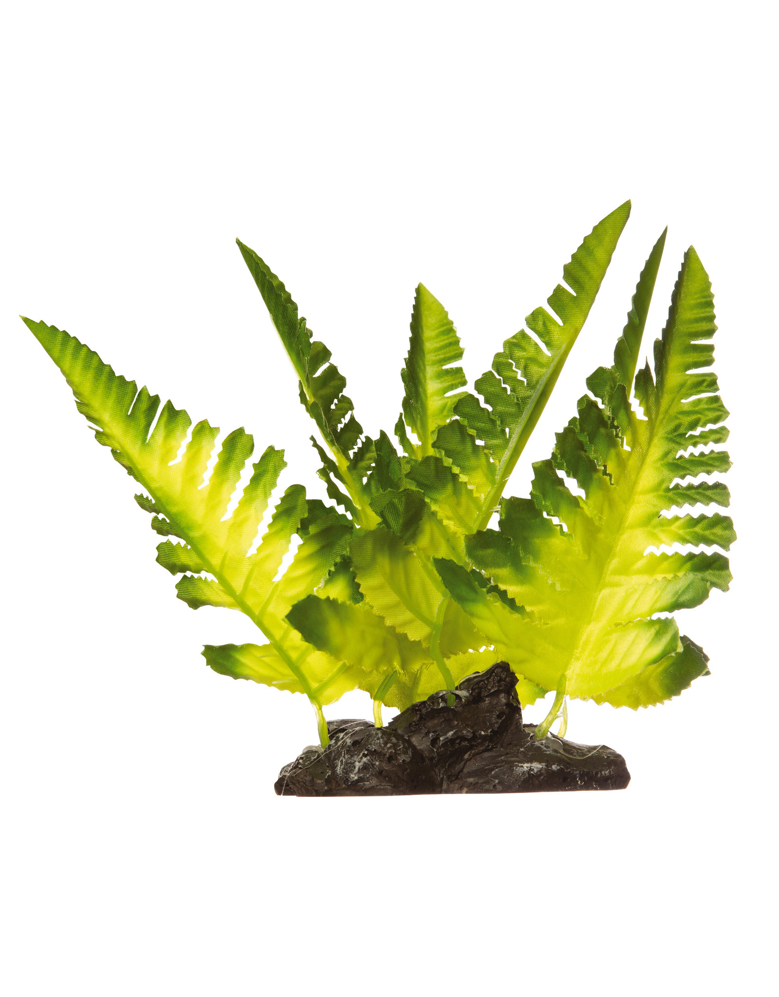 Tetra TETRA GloFish Plant Yellow Fern Medium