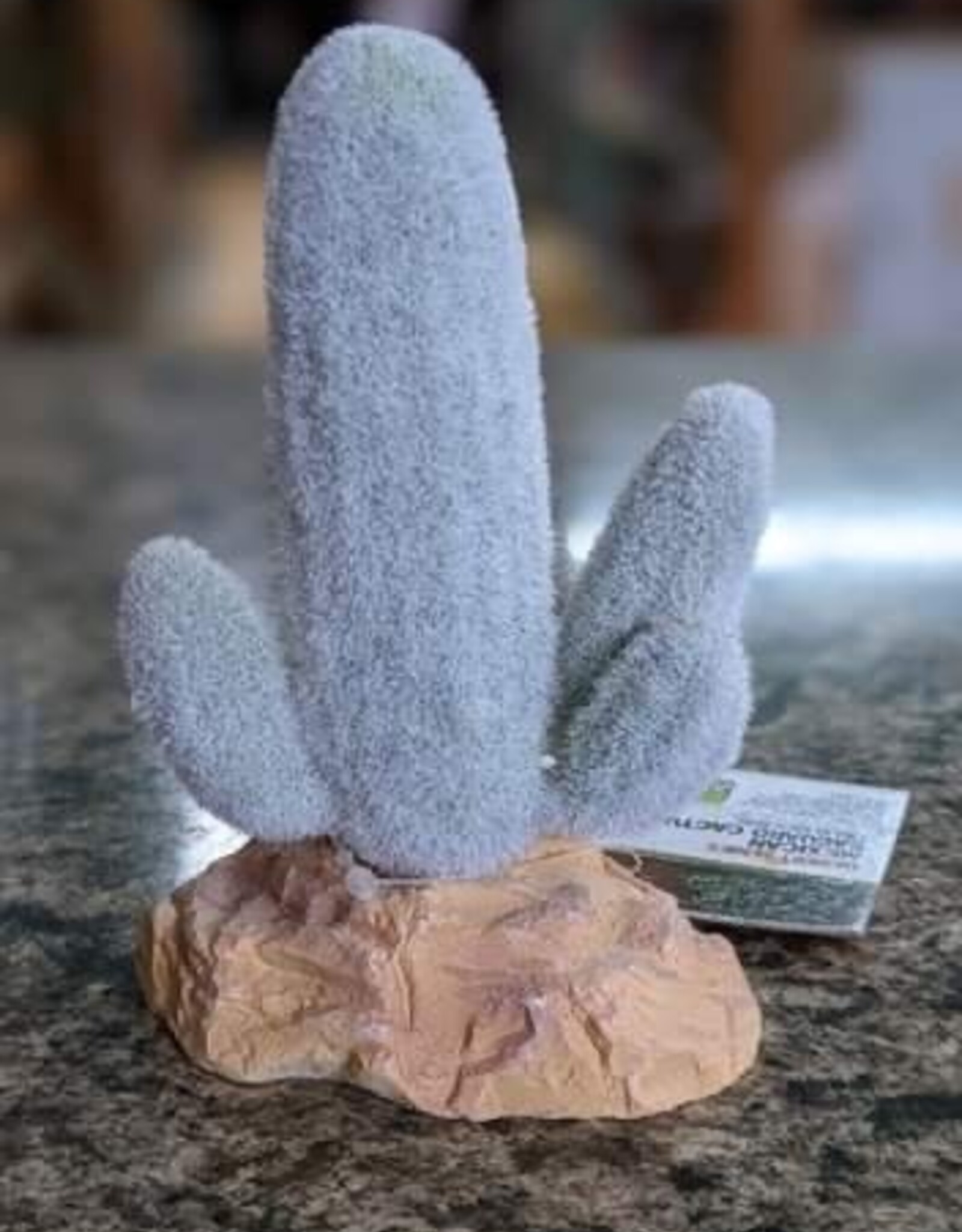 Zilla Zilla  Desert Series - Saguaro Cactus 5’