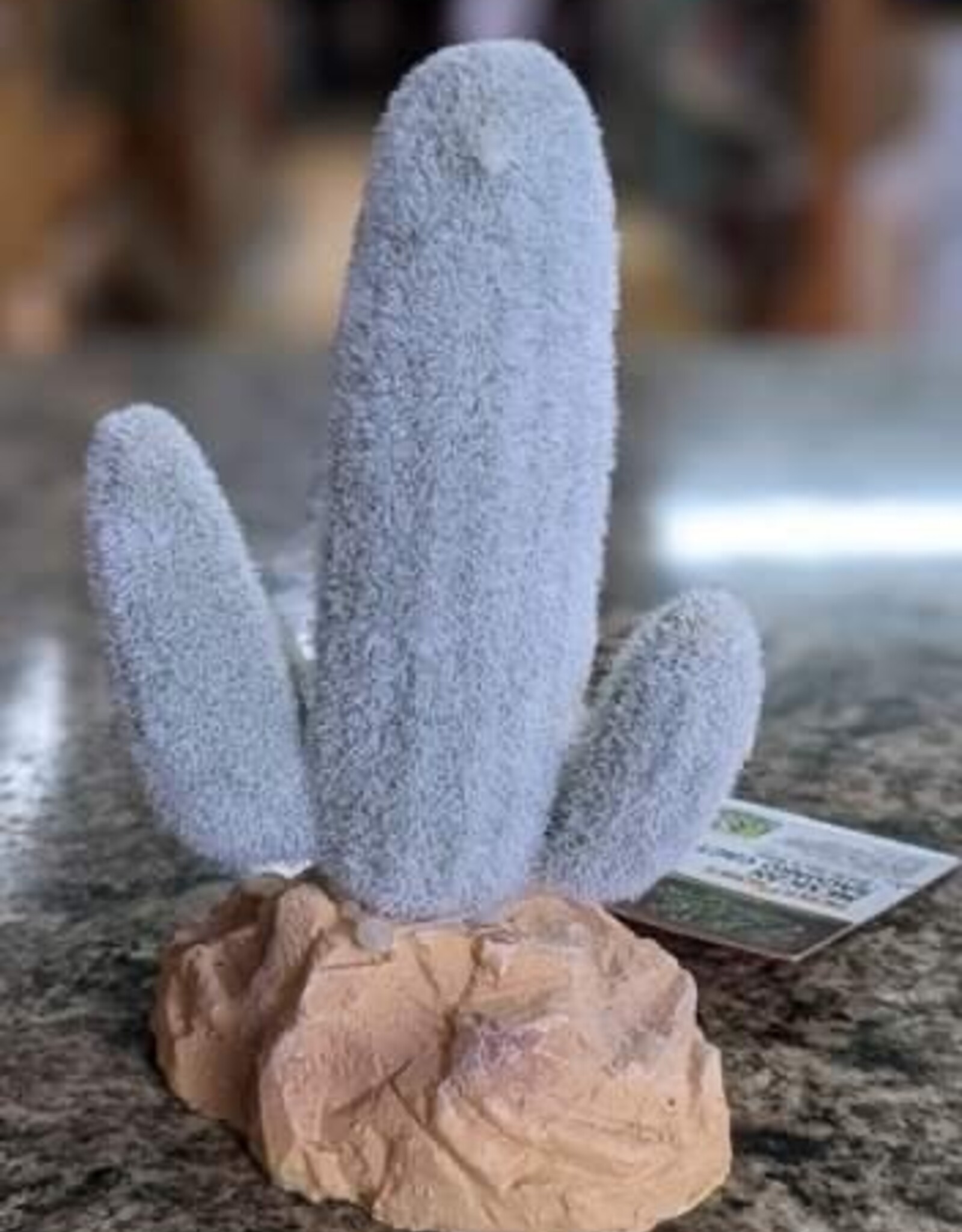 Zilla Zilla  Desert Series - Saguaro Cactus 5’