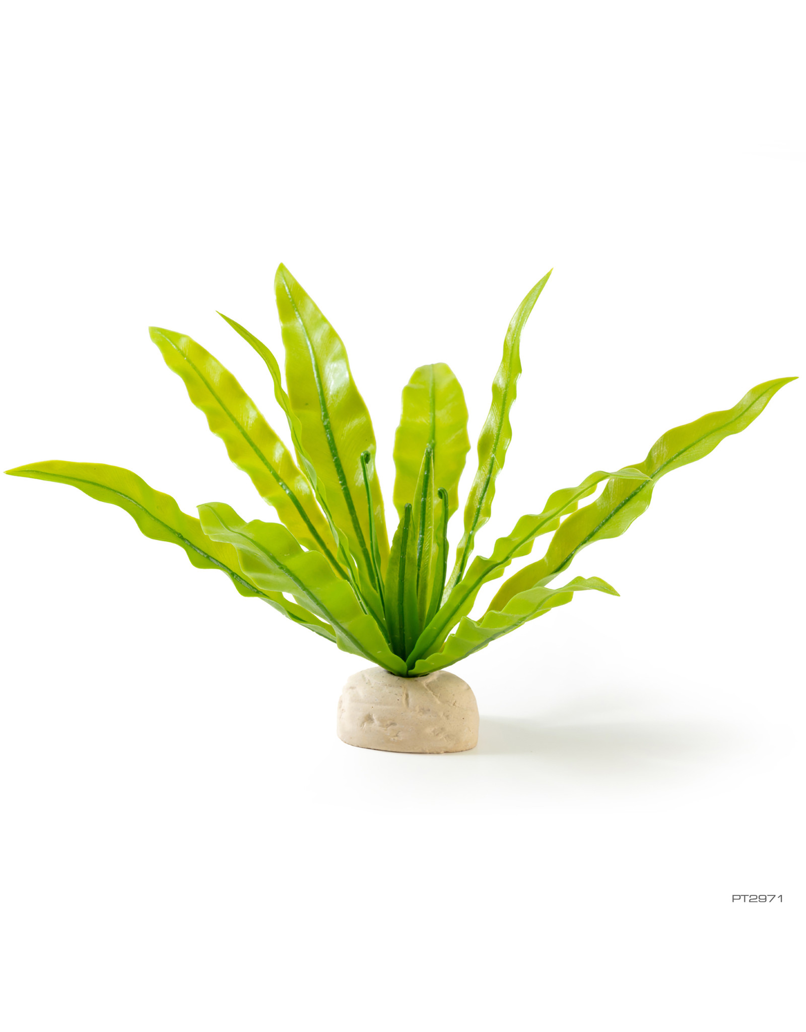 Exo Terra EXO TERRA Bird's Nest Fern Plant