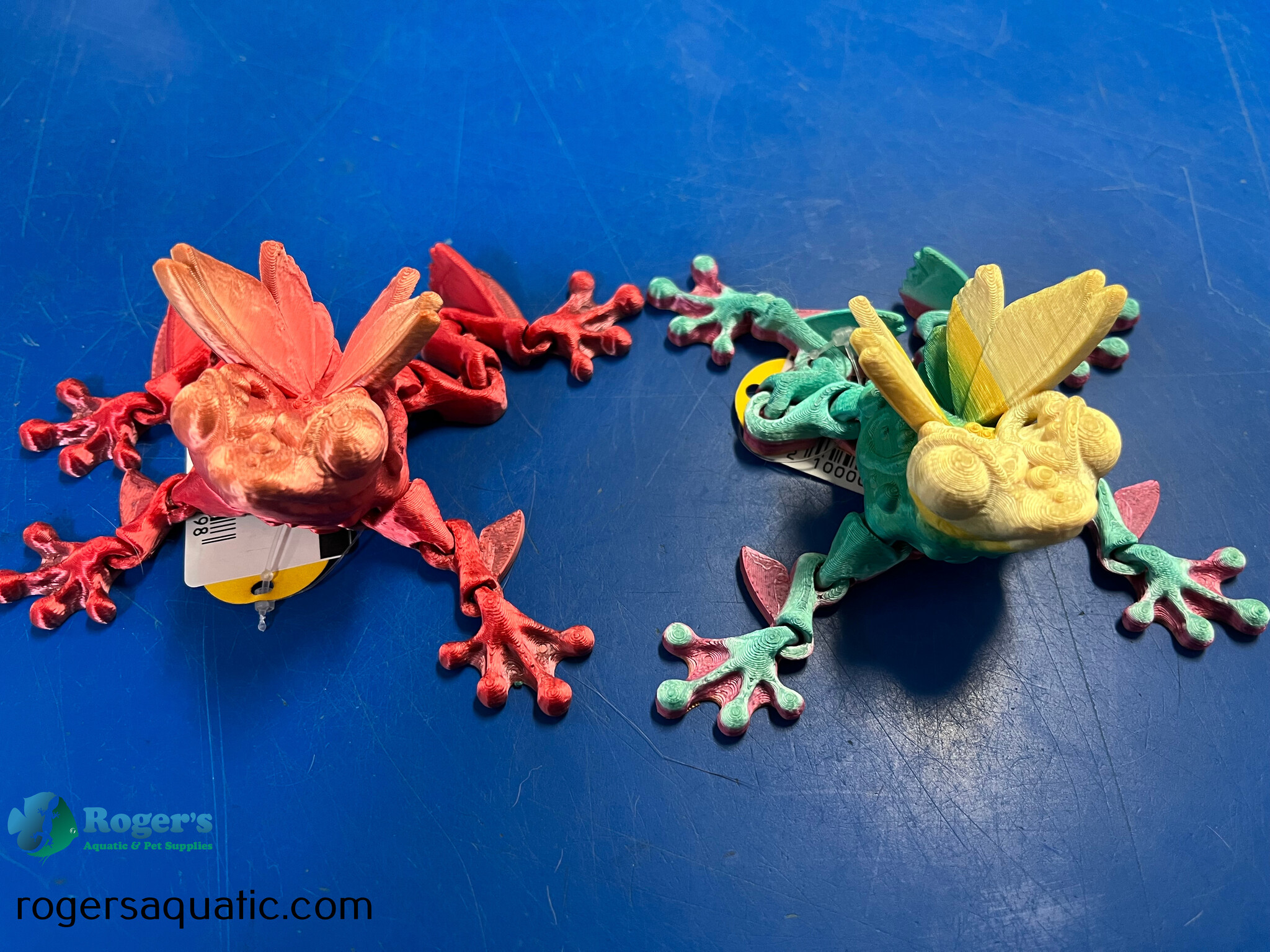 3D PRINTED - Frog - Roger's Aquatics & Pet Supplies