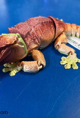 Got Wood Customs & 3D Printing 3D PRINTED - Gecko