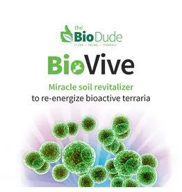 Biodude THE BIODUDE BioVive Soil Revitalizer 50g