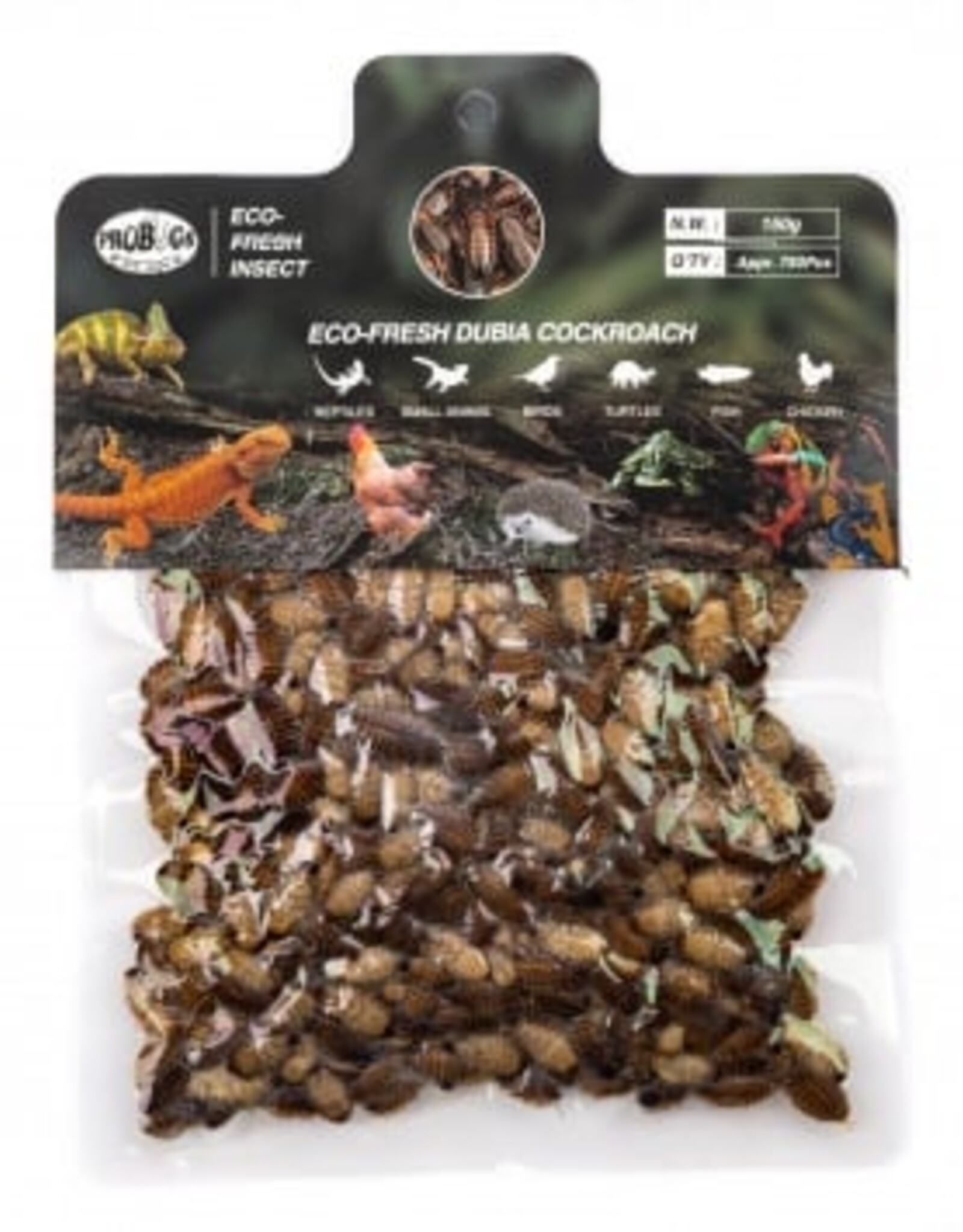 Pro Bugs PRO BUGS Dubia Cockroach Bulk Pack