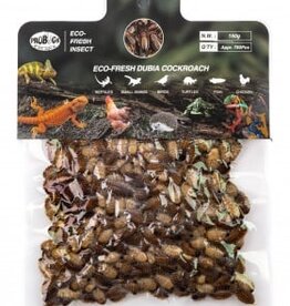 Pro Bugs PRO BUGS Dubia Cockroach Bulk Pack