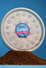 Obie's OBIE'S Pre-Packaged Black Soldier Fly Larva (BSLF)