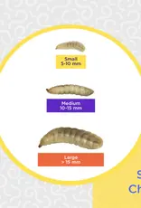 Obie's OBIE'S Pre-Packaged Black Soldier Fly Larva (BSLF)