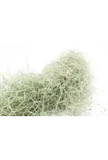 Jurassic Reptile Products JURASSIC REPTILE Spanish Moss