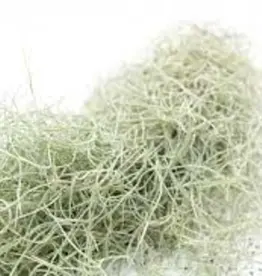 Jurassic Reptile Products JURASSIC REPTILE Spanish Moss
