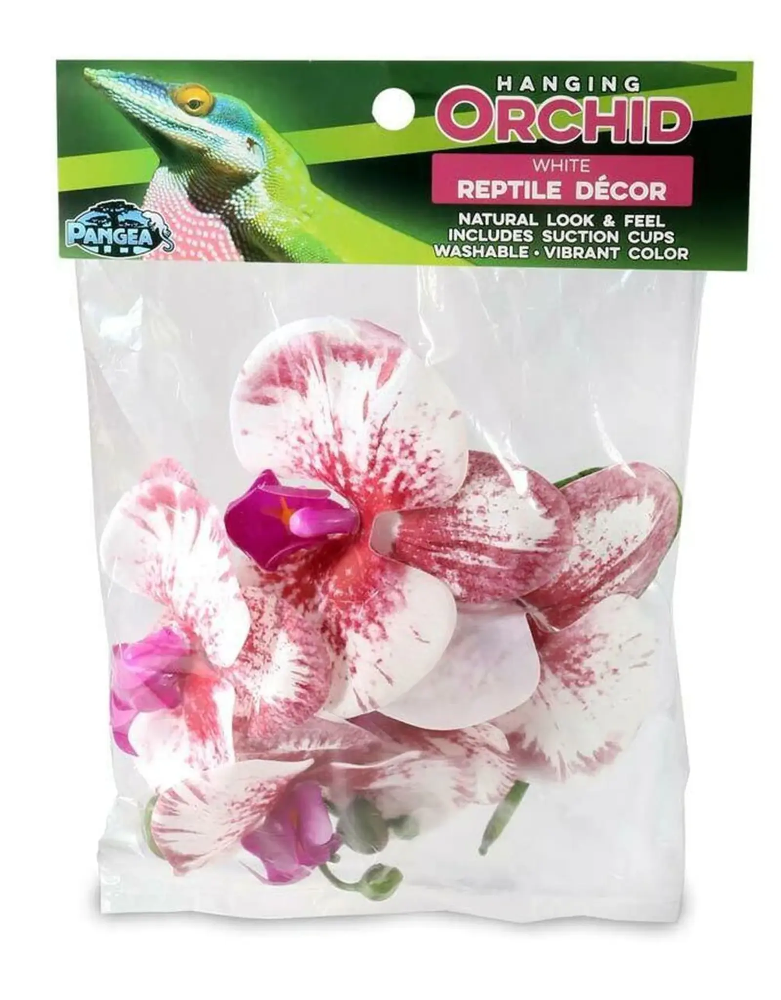 Pangea PANGEA  Hanging Orchids