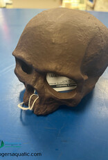 Roger's Aquatics ROGER'S AQUATIC Ceramic Shrimp Decor