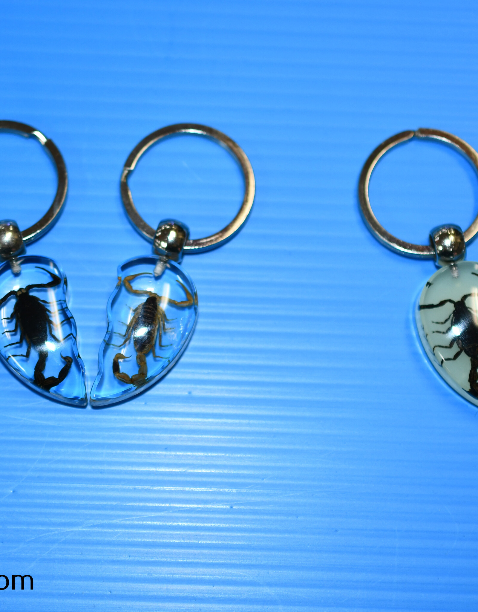 Roger's Aquatics ROGER'S AQUATIC Keychain Scorpion Heart (2 piece)