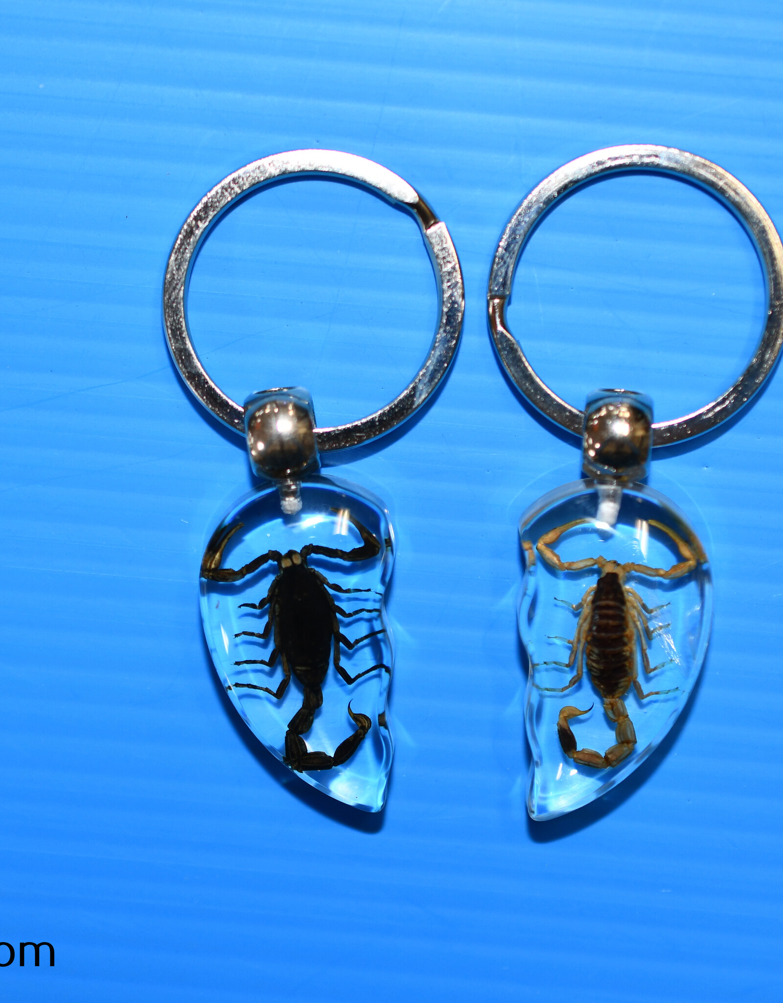 Roger's Aquatics ROGER'S AQUATIC Keychain Scorpion Heart (2 piece)