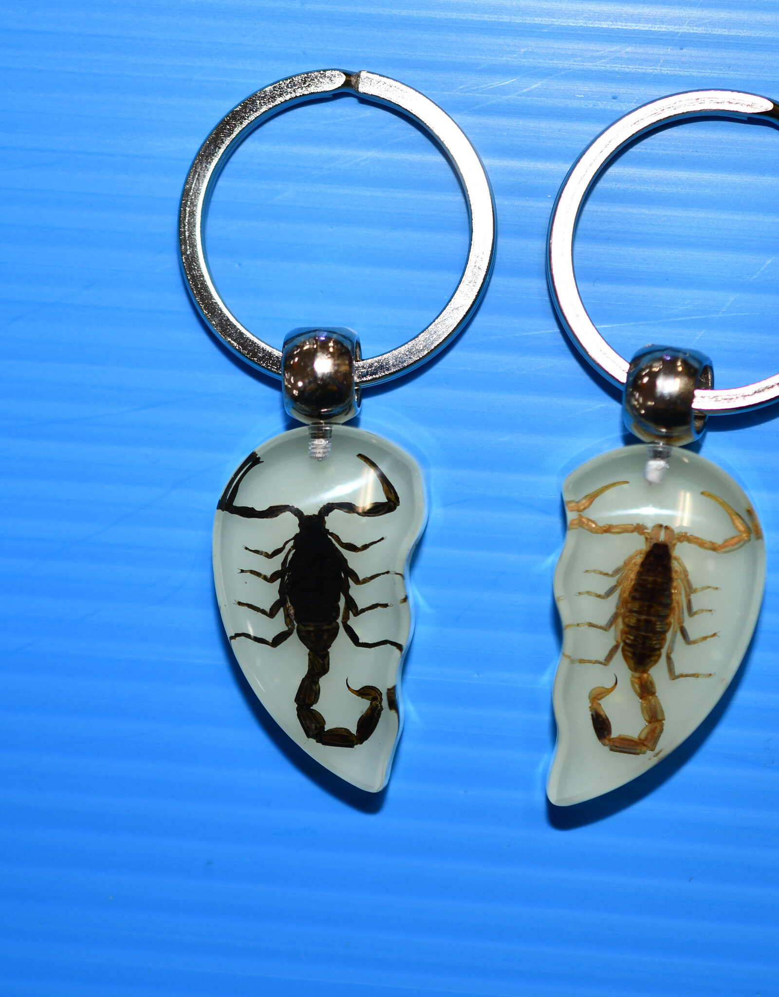 Roger's Aquatics ROGER'S AQUATIC Keychain Scorpion Heart (2 piece)