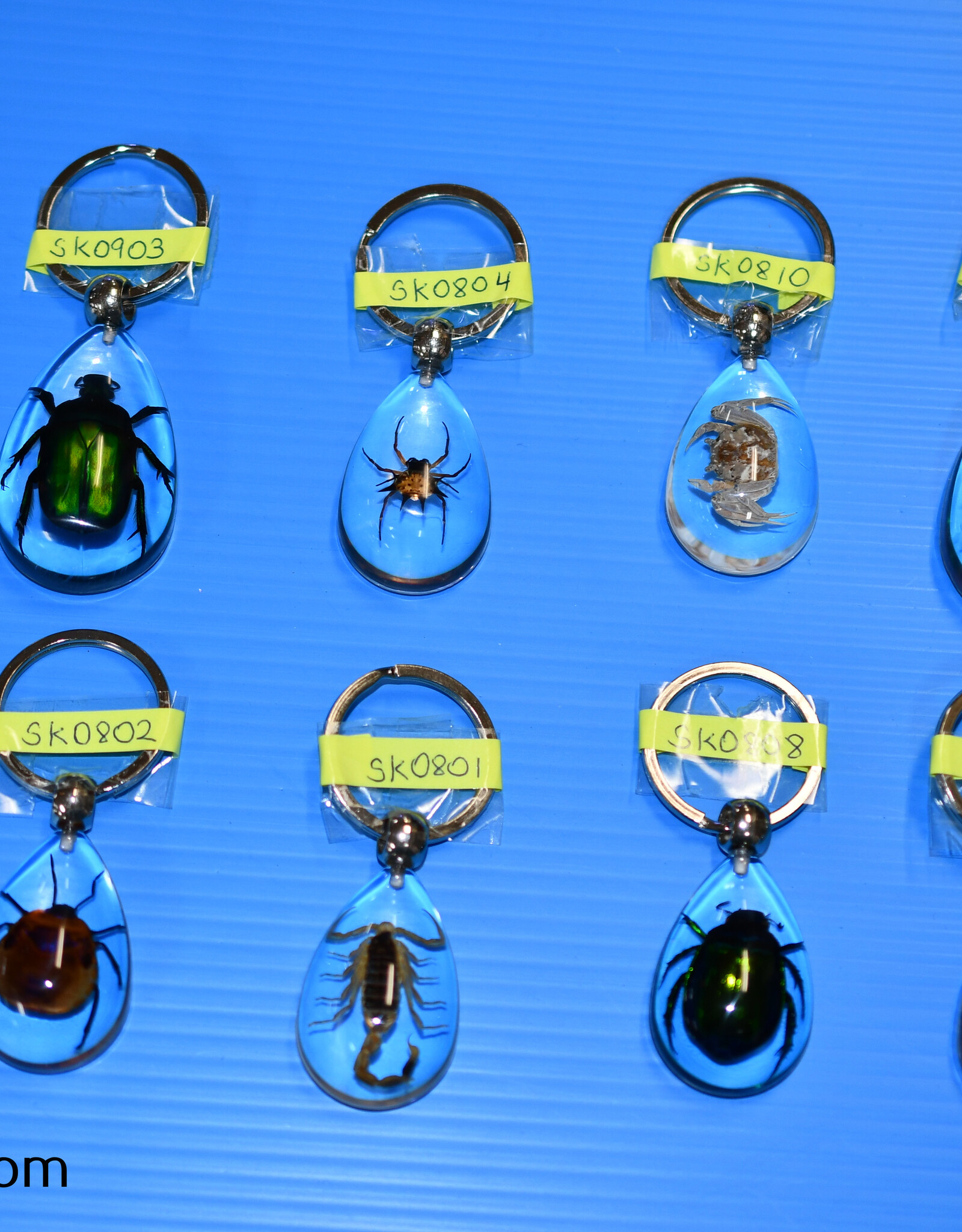 Roger's Aquatics ROGER'S AQUATIC Keychain Transparent