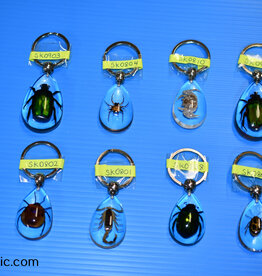 Roger's Aquatics ROGER'S AQUATIC Keychain Transparent