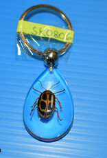 Roger's Aquatics ROGER'S AQUATIC Keychain Transparent