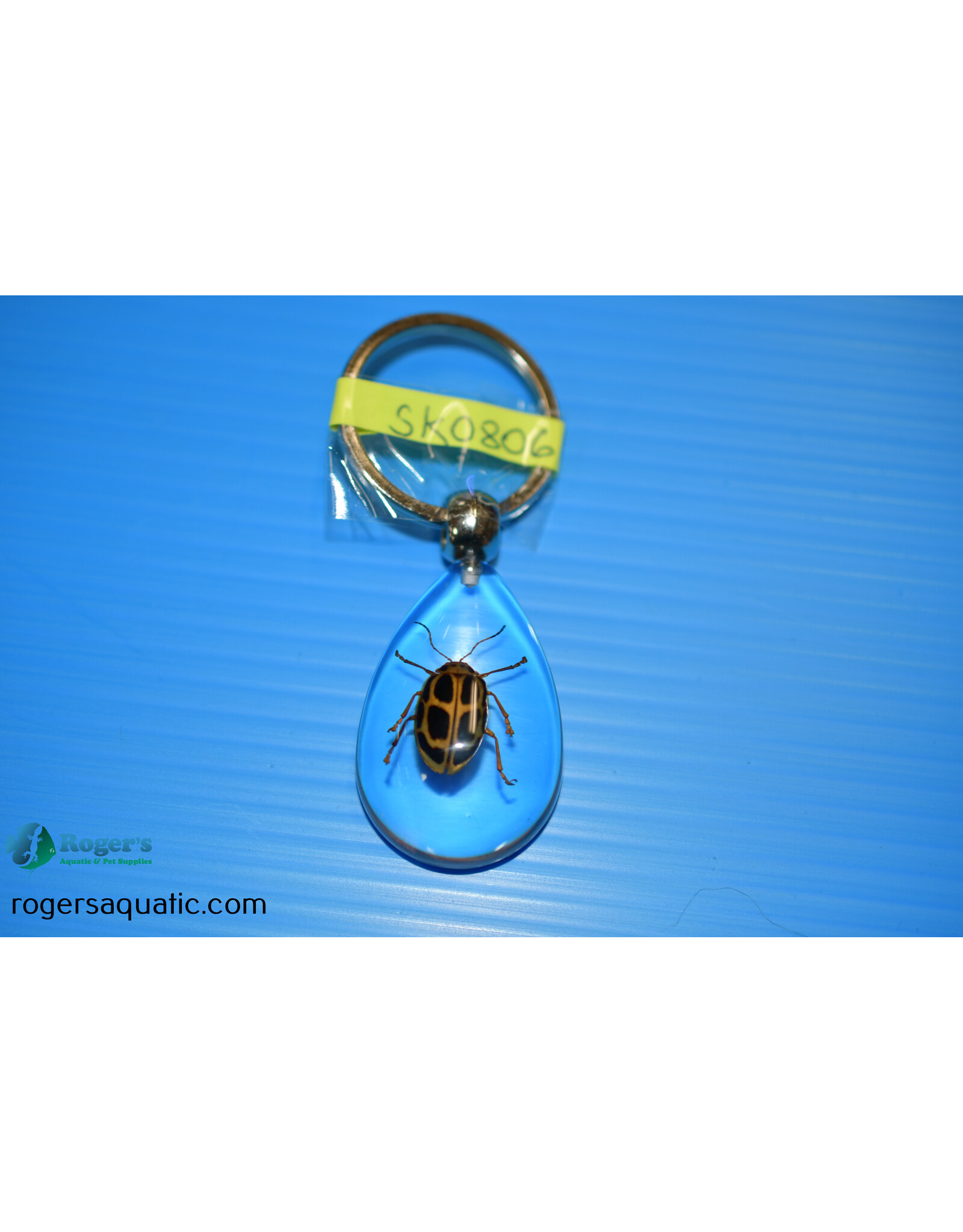 Roger's Aquatics ROGER'S AQUATIC Keychain Transparent