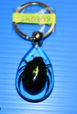 Roger's Aquatics ROGER'S AQUATIC Keychain Transparent