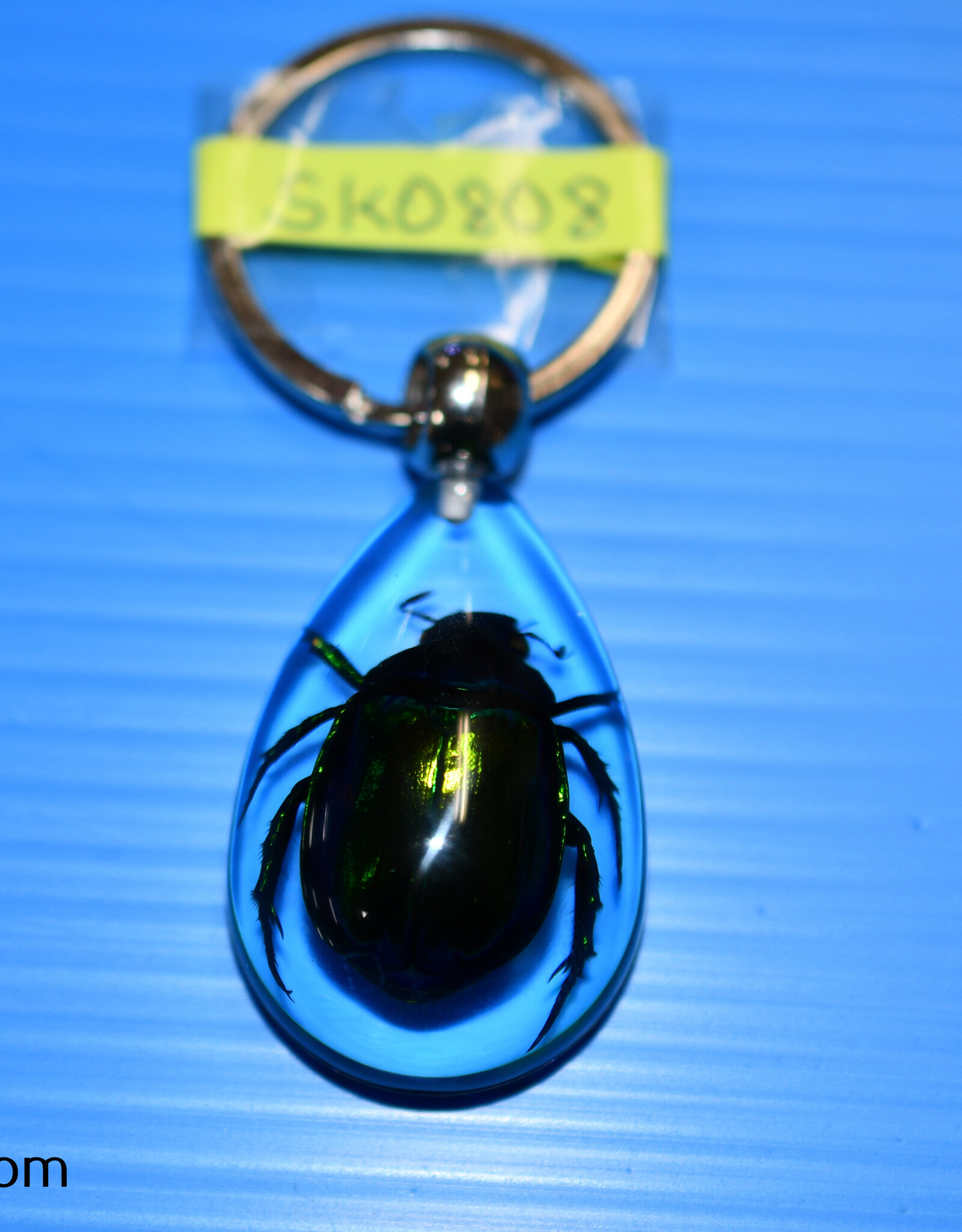 Roger's Aquatics ROGER'S AQUATIC Keychain Transparent