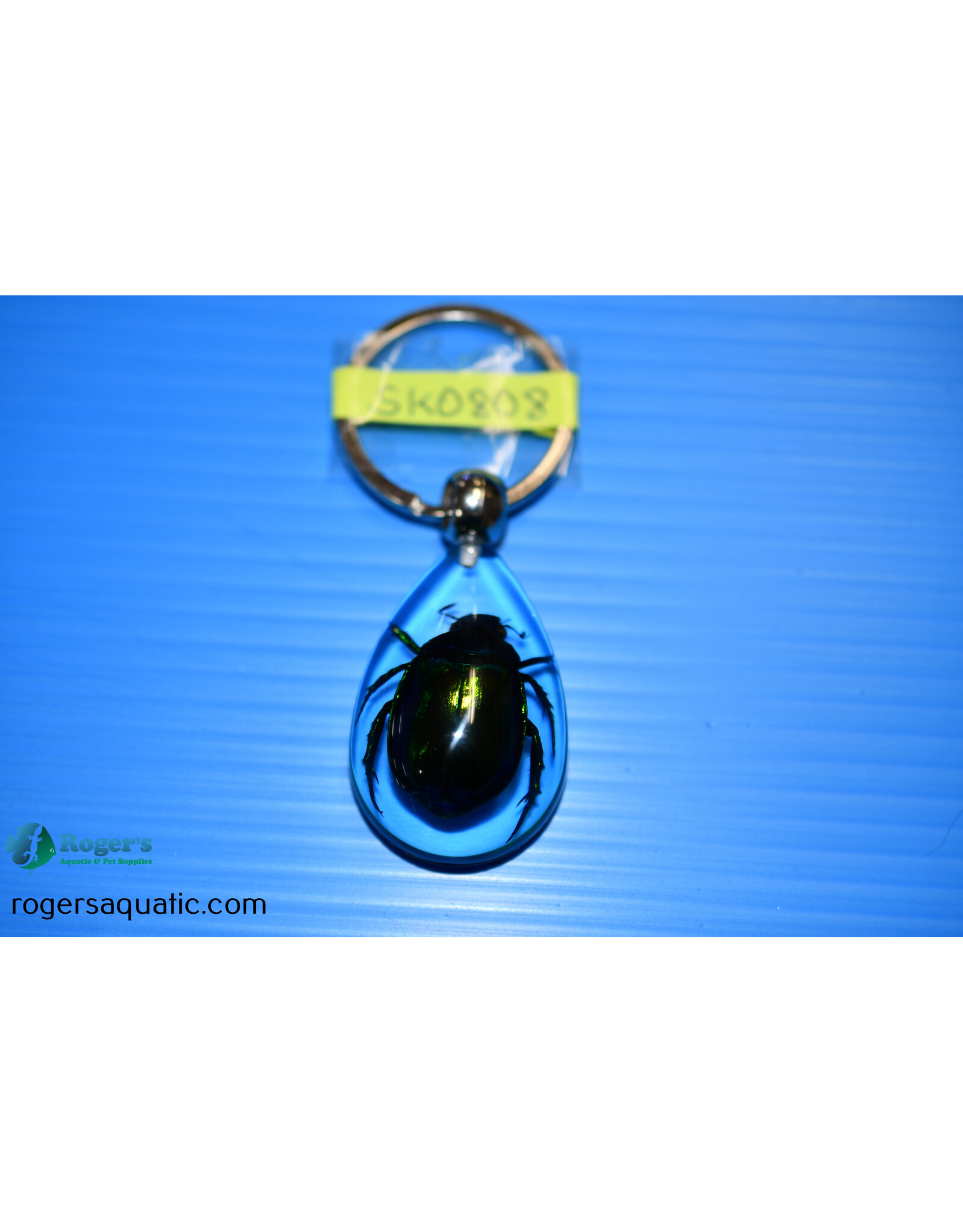 Roger's Aquatics ROGER'S AQUATIC Keychain Transparent