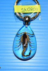 Roger's Aquatics ROGER'S AQUATIC Keychain Transparent