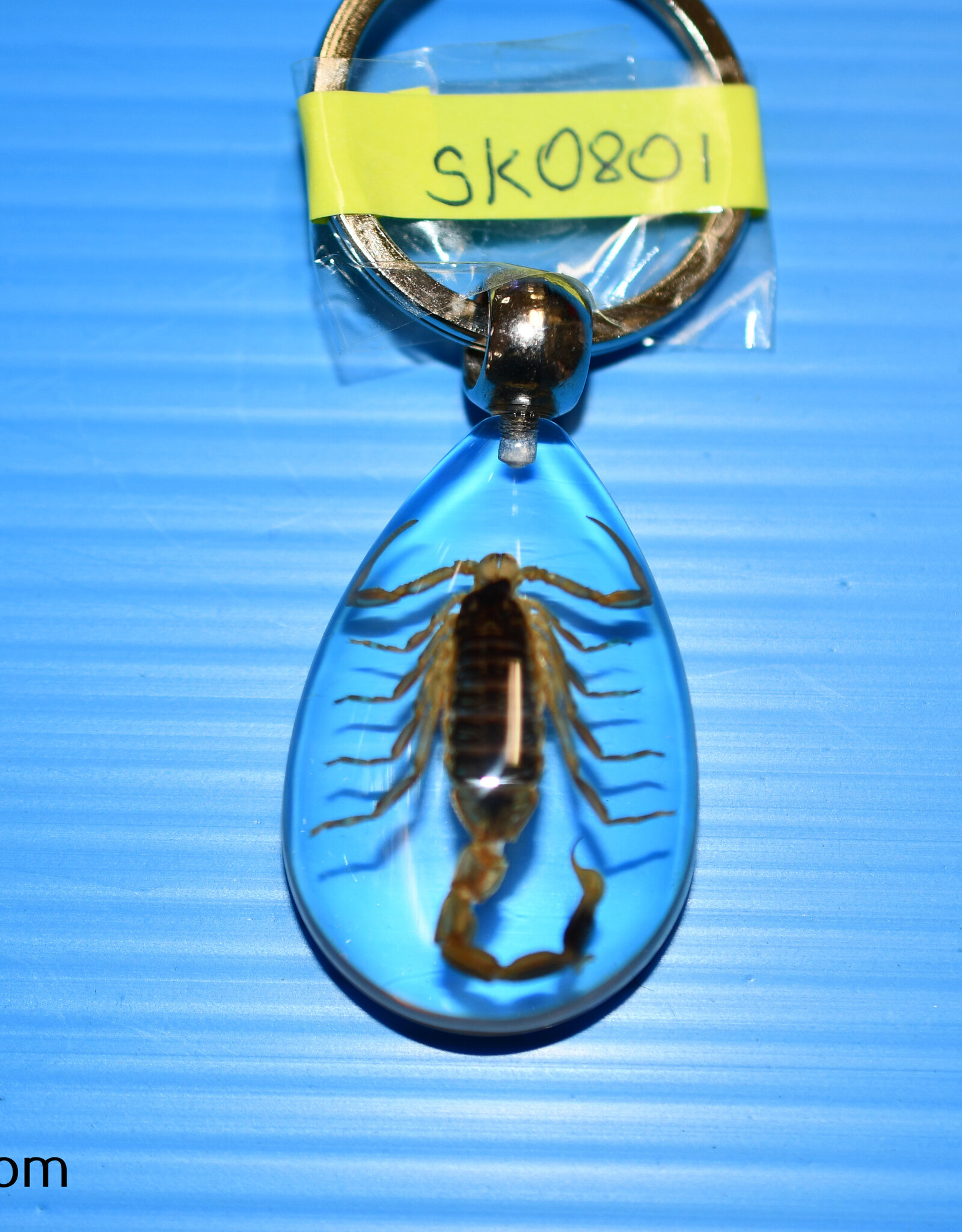 Roger's Aquatics ROGER'S AQUATIC Keychain Transparent