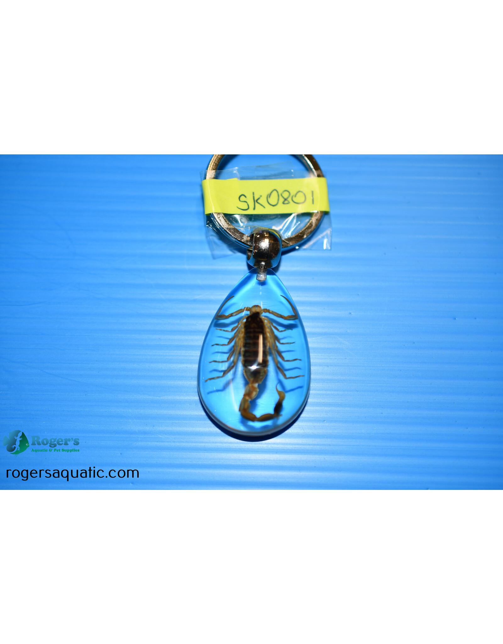 Roger's Aquatics ROGER'S AQUATIC Keychain Transparent