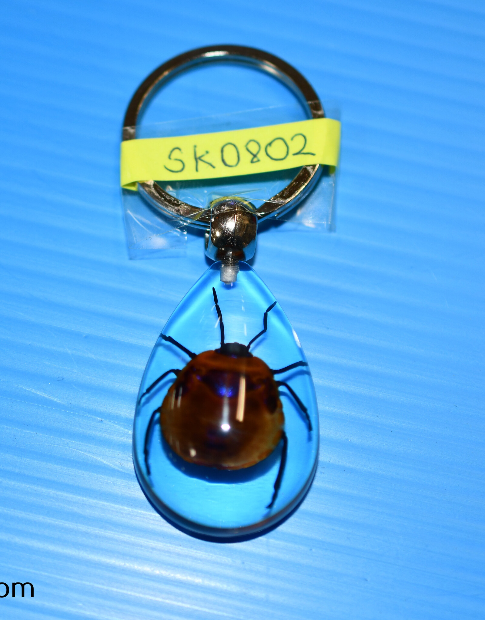 Roger's Aquatics ROGER'S AQUATIC Keychain Transparent