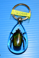Roger's Aquatics ROGER'S AQUATIC Keychain Transparent