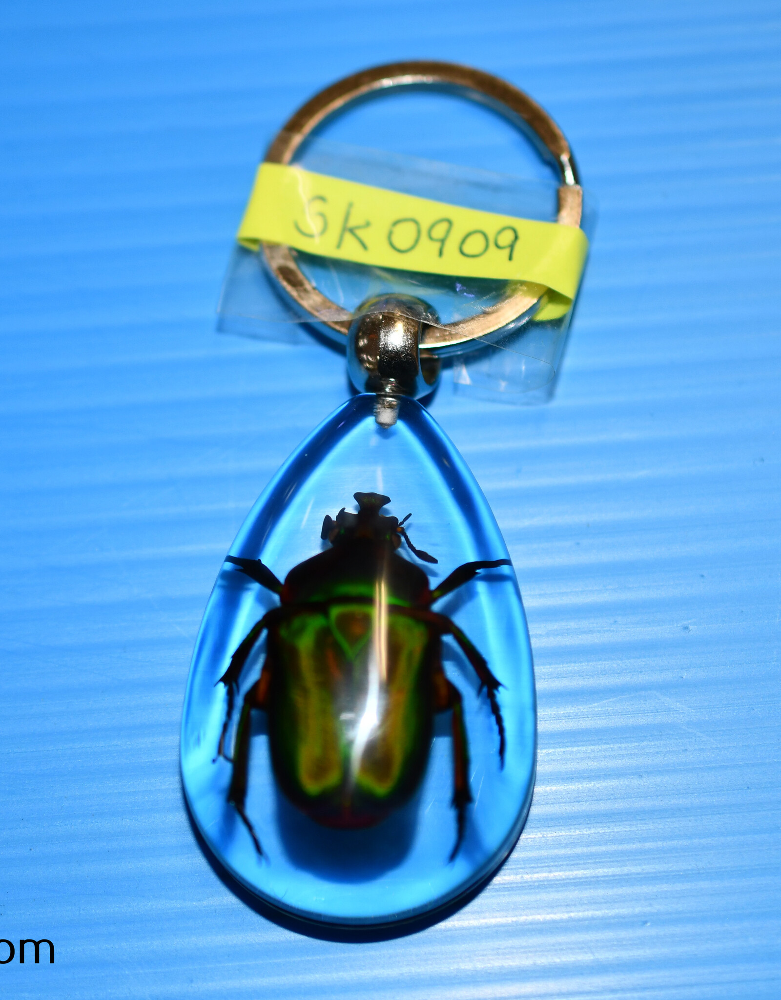 Roger's Aquatics ROGER'S AQUATIC Keychain Transparent