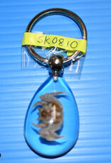 Roger's Aquatics ROGER'S AQUATIC Keychain Transparent