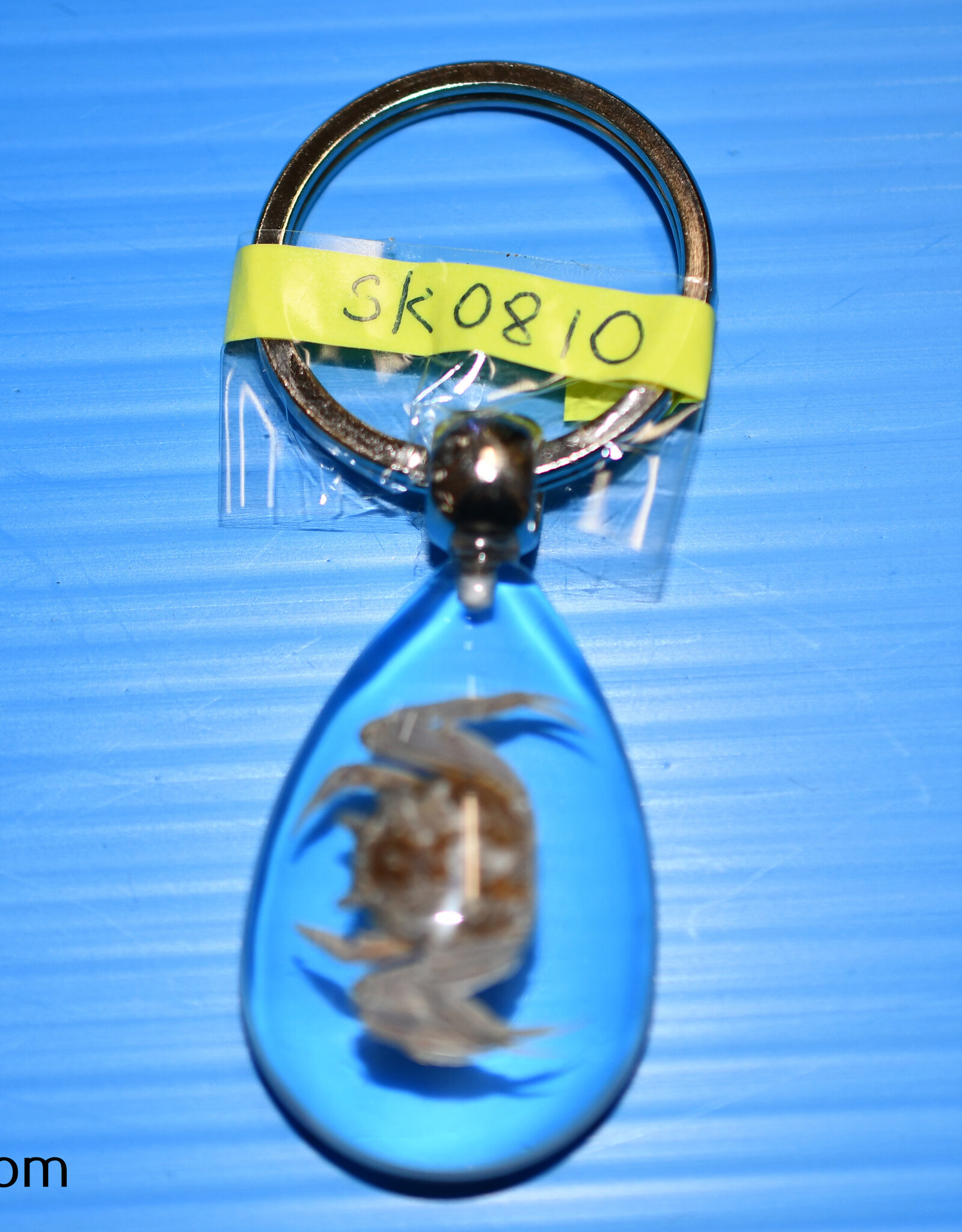 Roger's Aquatics ROGER'S AQUATIC Keychain Transparent