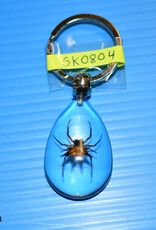 Roger's Aquatics ROGER'S AQUATIC Keychain Transparent
