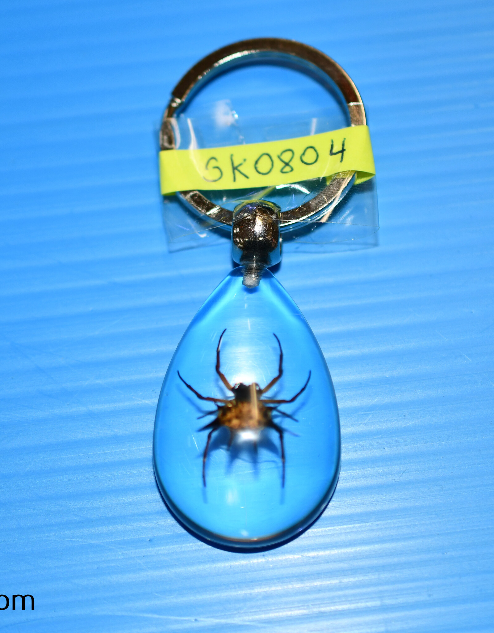 Roger's Aquatics ROGER'S AQUATIC Keychain Transparent
